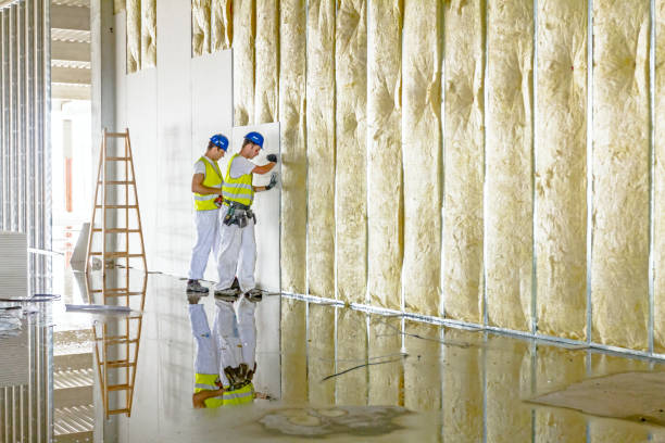 Best DIY Insulation Kits and Guidance in Raleigh Hills, OR